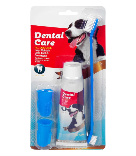 Kit Dental